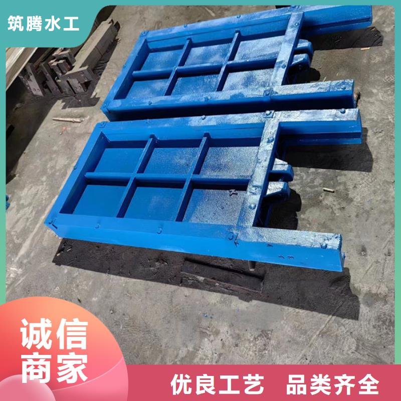 平面铸铁闸门源头厂家