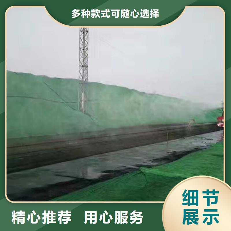 道路生物型降尘剂实力生产厂家